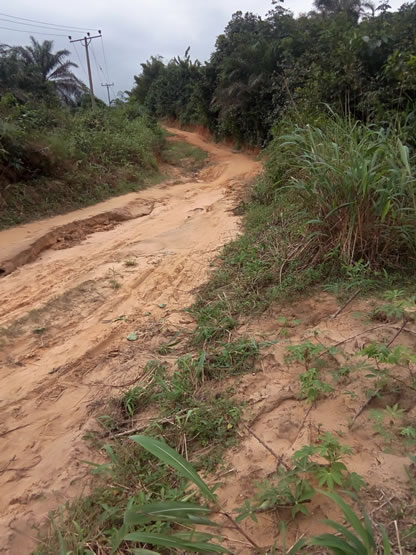 Dilapidated and Moribund Structures at NIFOR, Abak Substation.