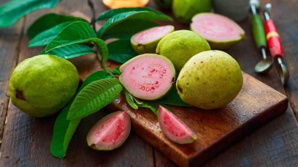 Guava fruits, leaves