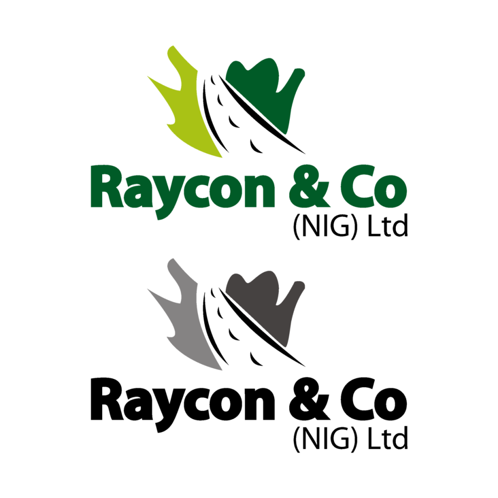 Raycon &Co (NIG) Ltd