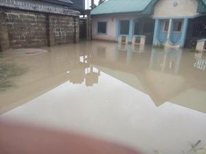 Esther Usih's compound