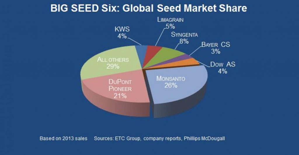 Big Six Seed companies