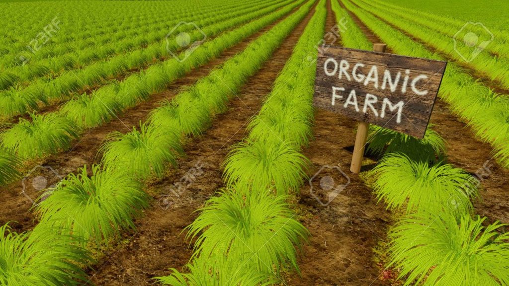 Organised farm