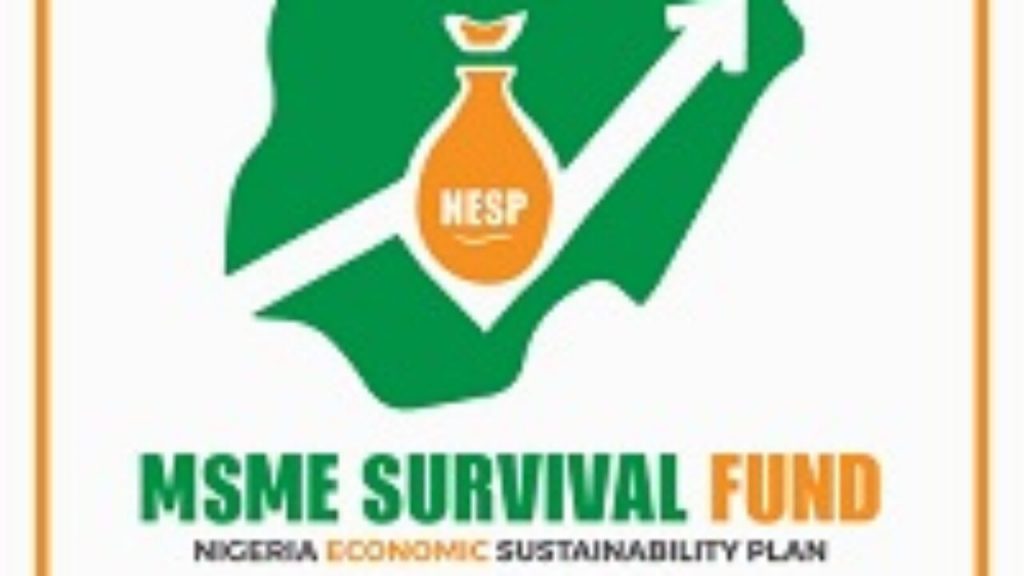 MSME Survival Fund straightnews