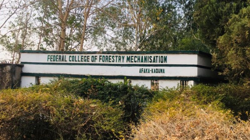 Breaking: Suspected Gunmen Kidnap Female Students In Kaduna Federal College of Forestry Mechanisation-Mando straightnews