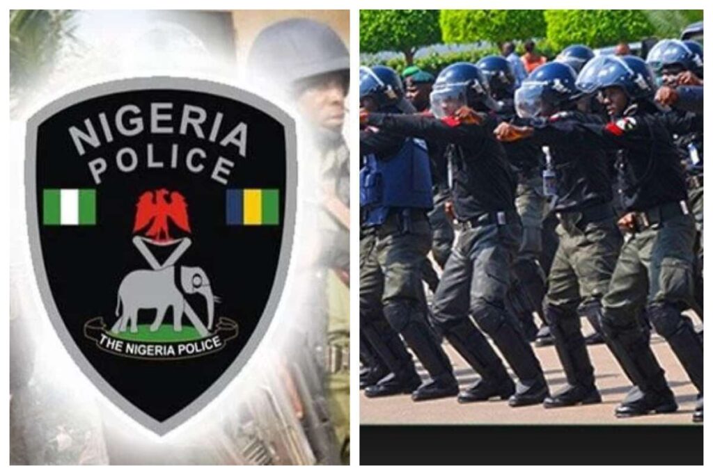 Nigeria Police Logo- straightnews