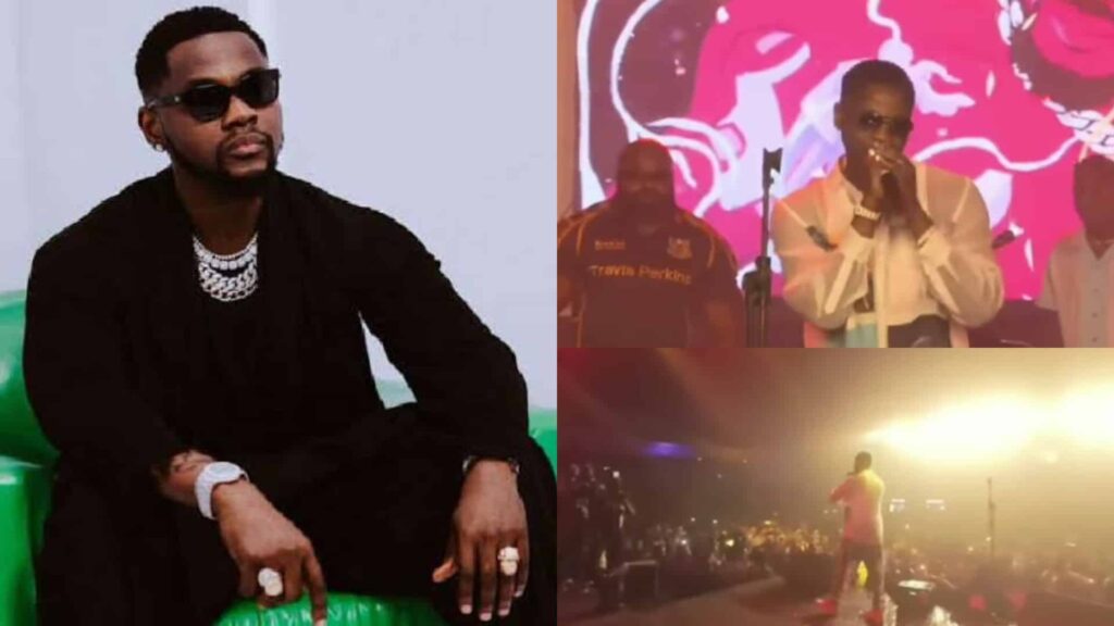 Kizz Daniel performs in Tanzania- straightnews