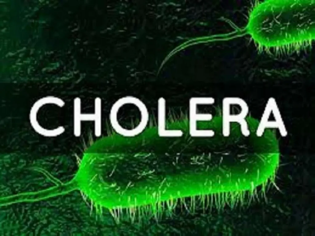 Cholera outbreak in Cross River - straightnews