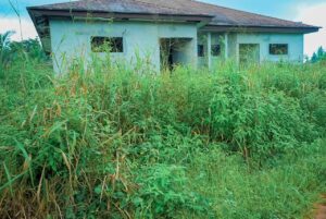 A building in abandoned Ukanafun Cottage Hospital - straightnews