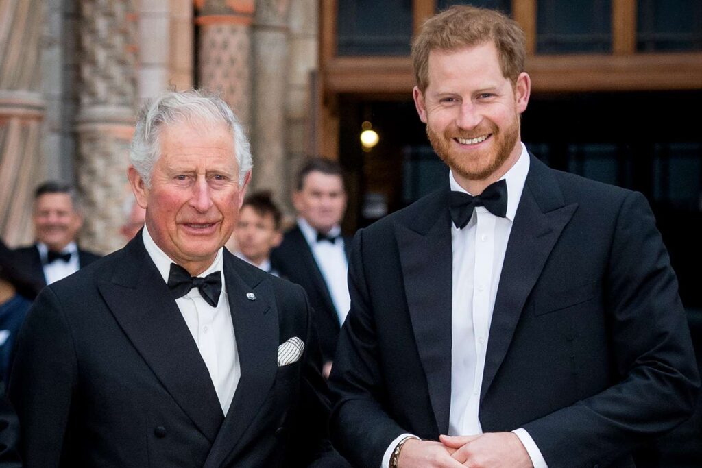 King Charles, Prince Harry parleying - Straightnews