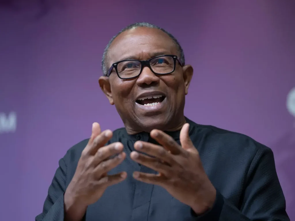 2023 Labour Party presidential candidate, Peter Obi, decries multinational companies from Nigeria - straightnews