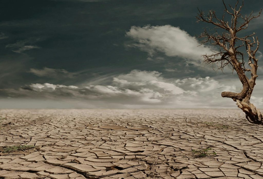 Impacts of Climate change - Straightnews