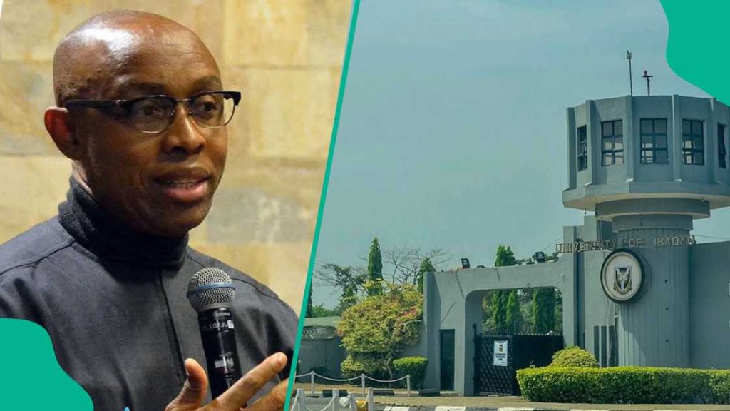 Prof Slams UI for Producing 58 First-Class Law graduates in a Session Professor Chidi Odinkalu and University of Ibadan - Straightnews