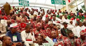 Delegates at the PDP 2026 Convention - Straightnews