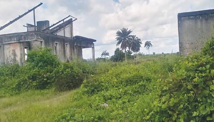 Past Administrations mismanaged Ibom Science Park, Open Forum says Moribund Ibom Science Park - Straightnews