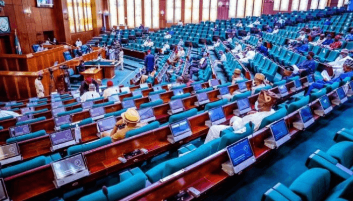 Xenophobic Attacks: House to Probe casualties, Losses Suffered by Nigerians House of Representatives - Straightnews